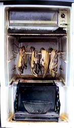 ������̒�1