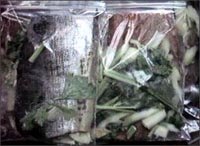 �I�C���Ђ�