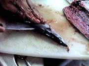 ����܂̉������炦