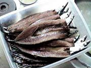 �Ђ�����