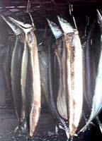 ����܂�����